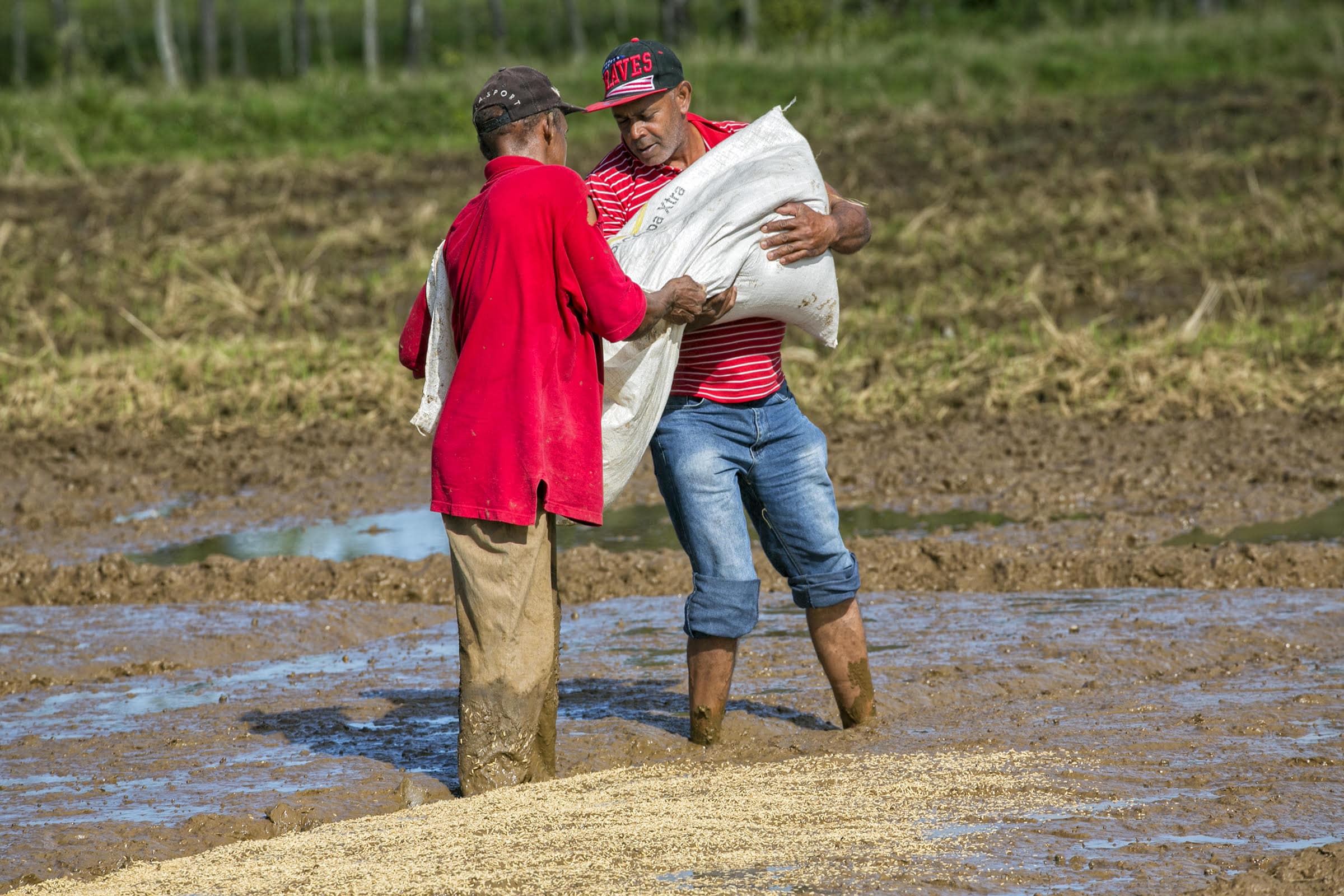 Una ciudad inclusiva, con participación popular