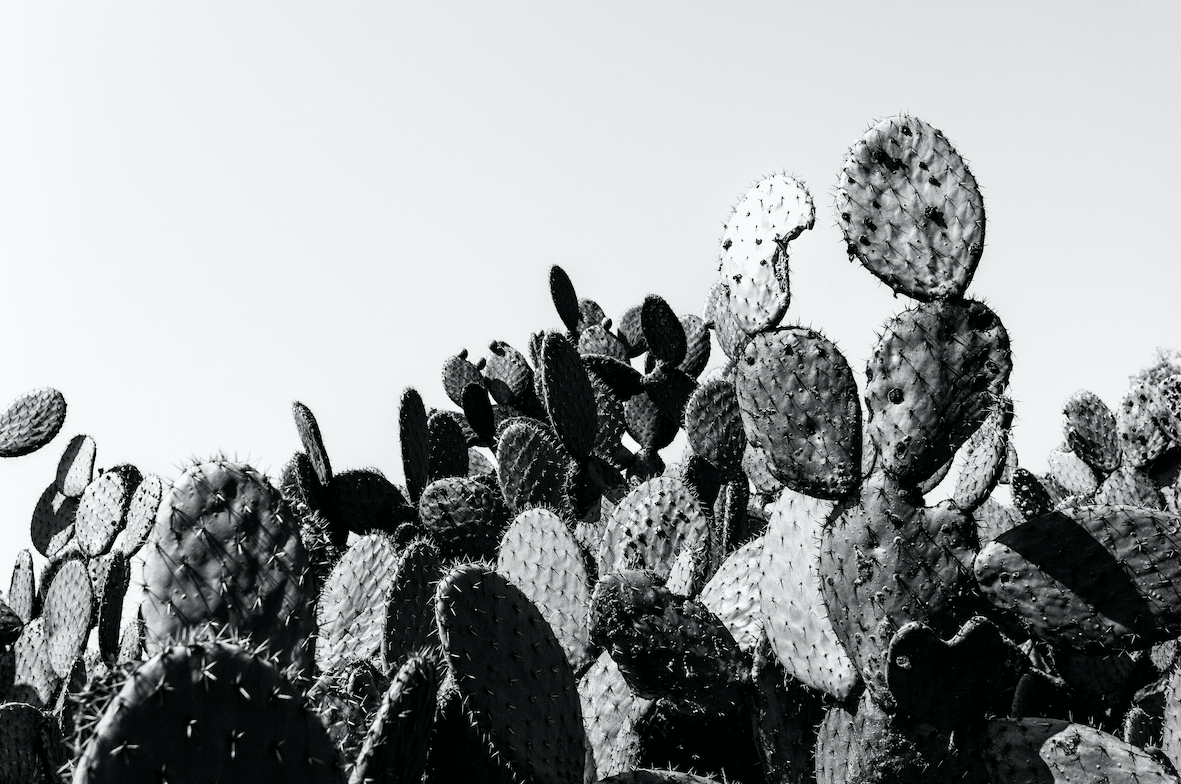 Nada podrá con la ternura