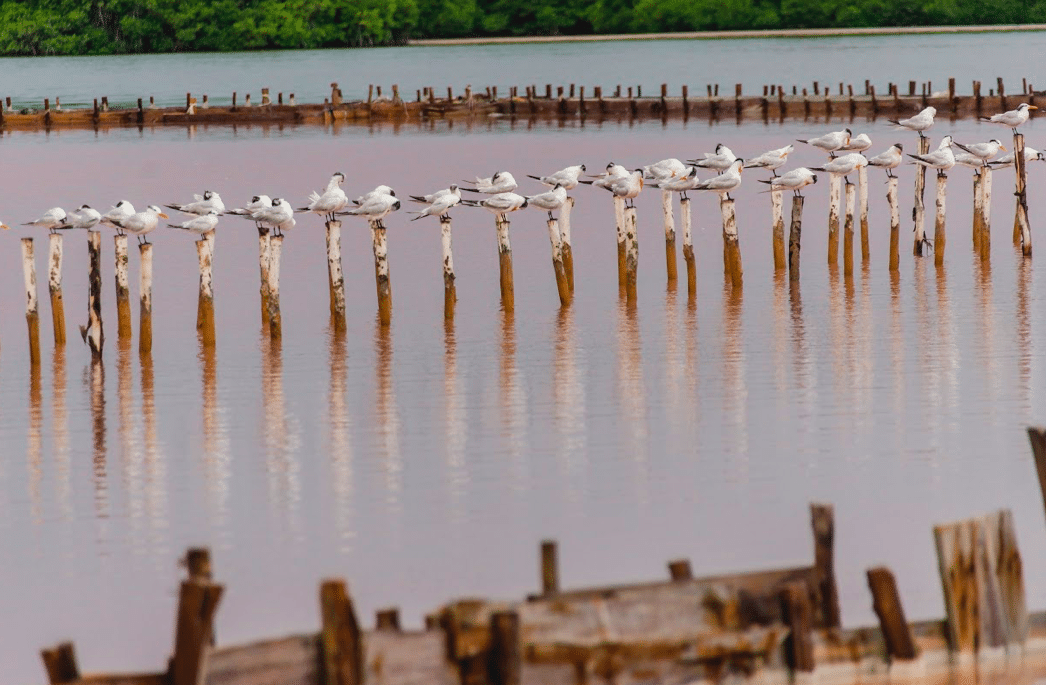 La fotografía, el viaje, la otra mirada
