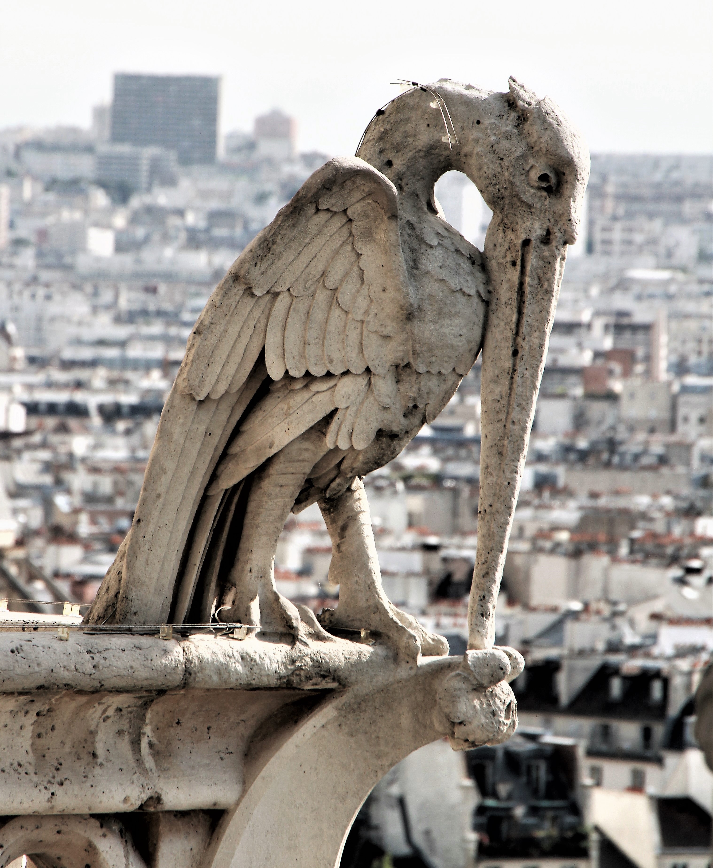 París, pese al embiste de las olas, sigue a flote