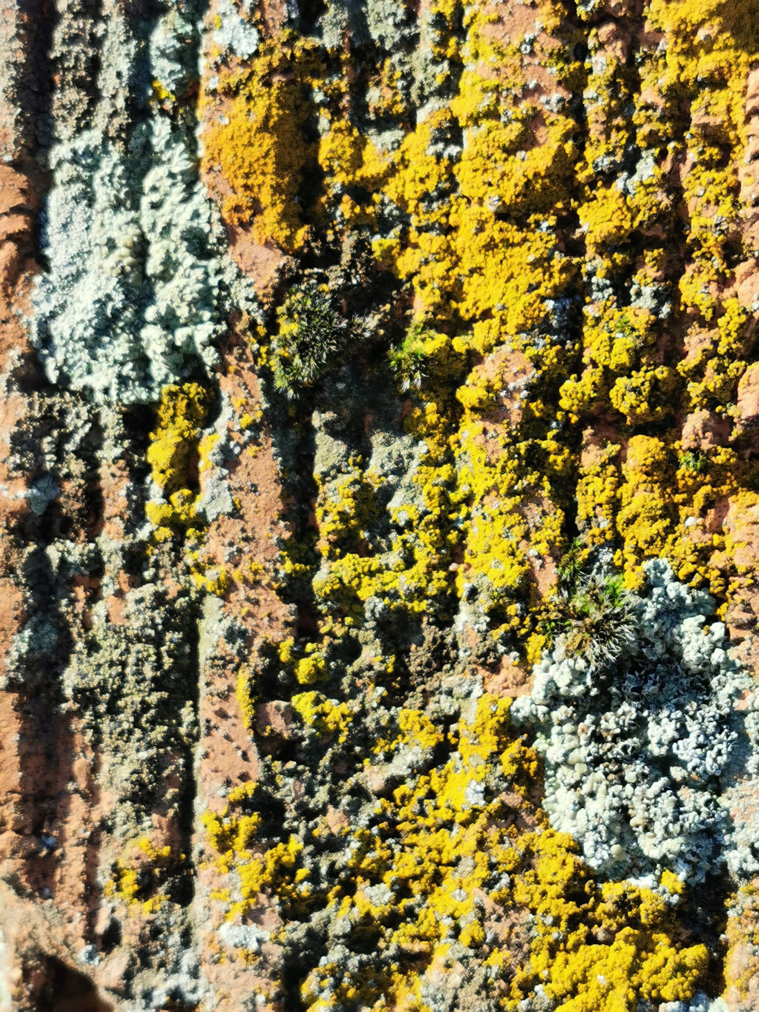 De los buenos recuerdos y las buenas prácticas