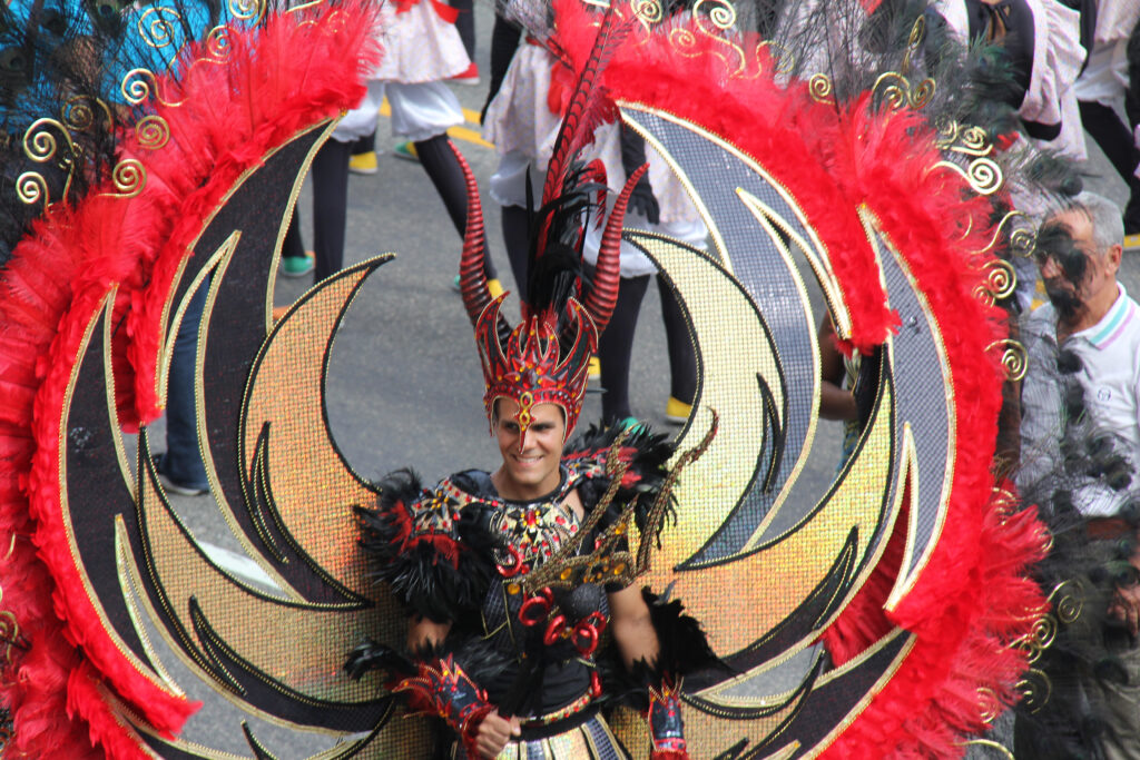 Excesos de los sentidos y ciudadanía cómplice en los carnavales