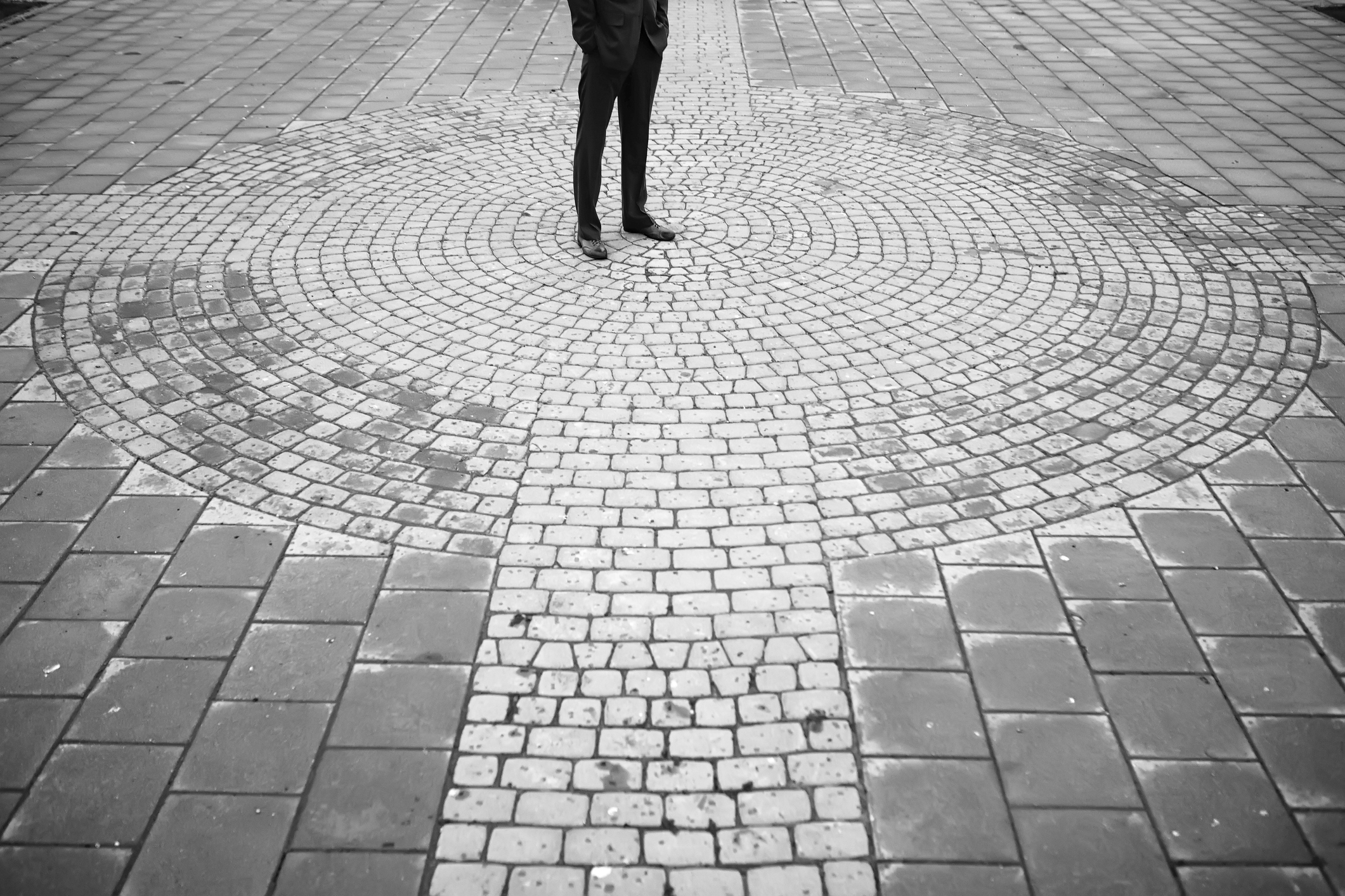 Dancing the Yellow Tango