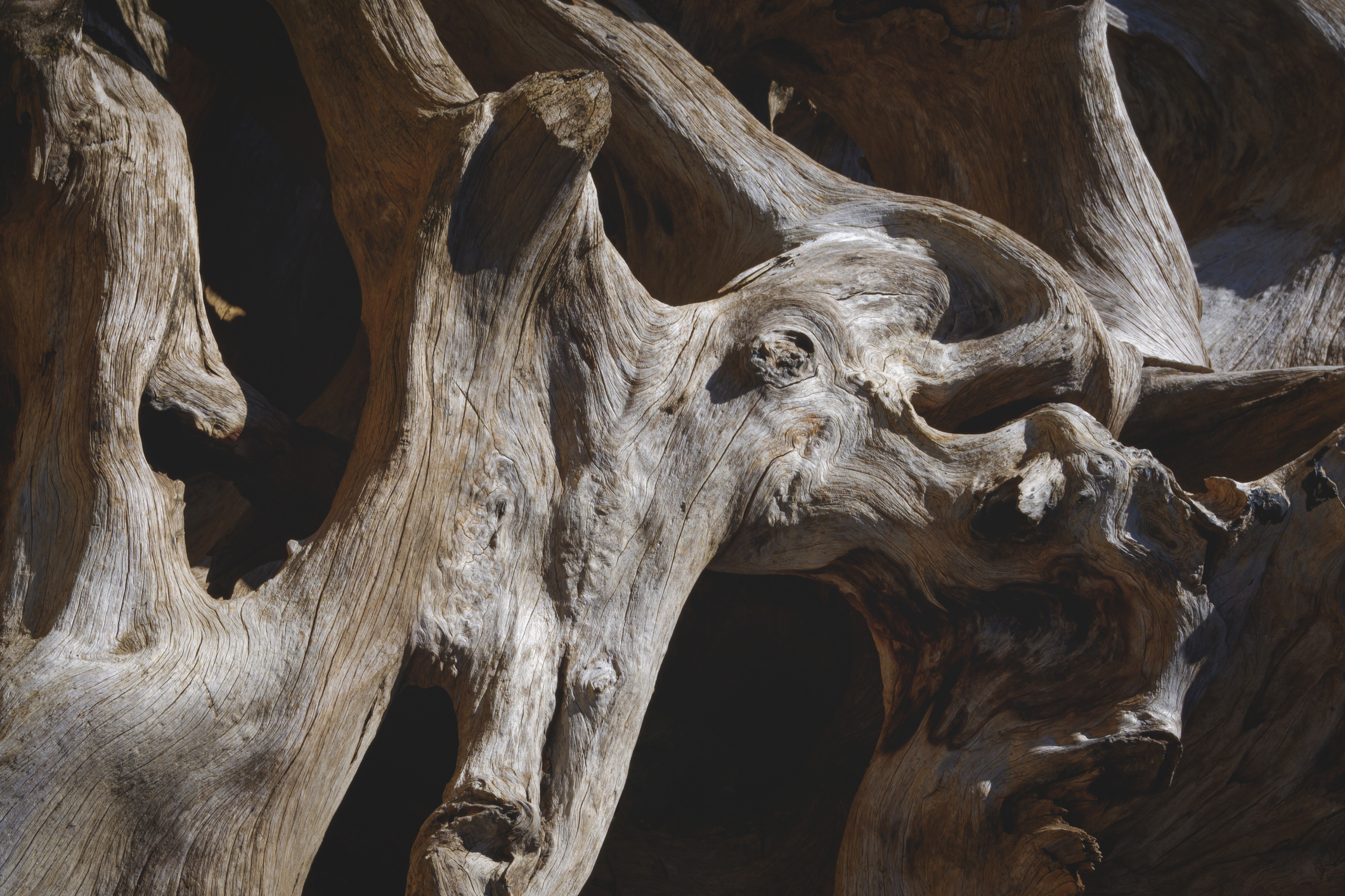 El mar de Trilce en su orilla centenaria