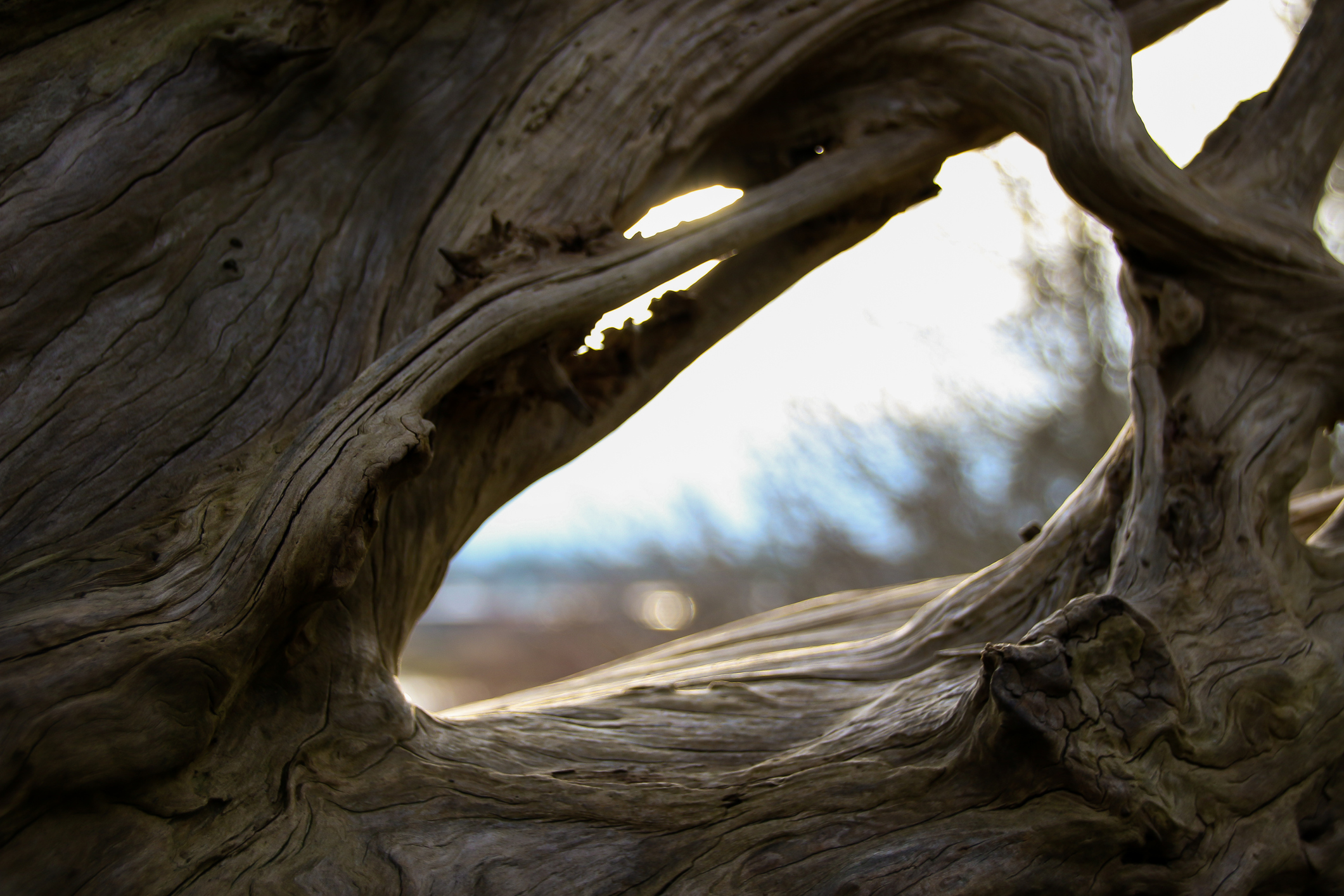 Signos rasantes sobre la tierra yerma