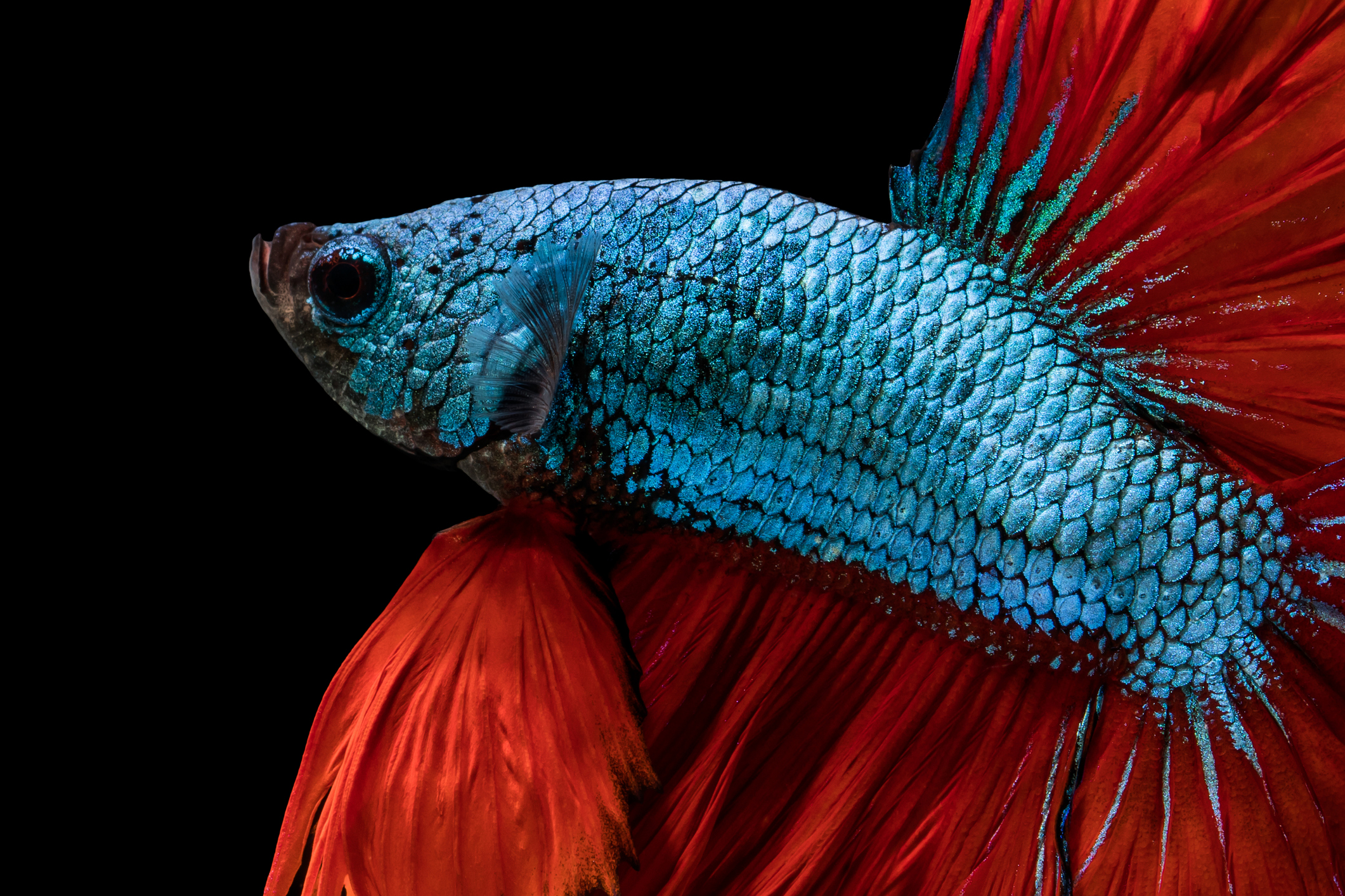 Que sea deseo no significa que se entienda