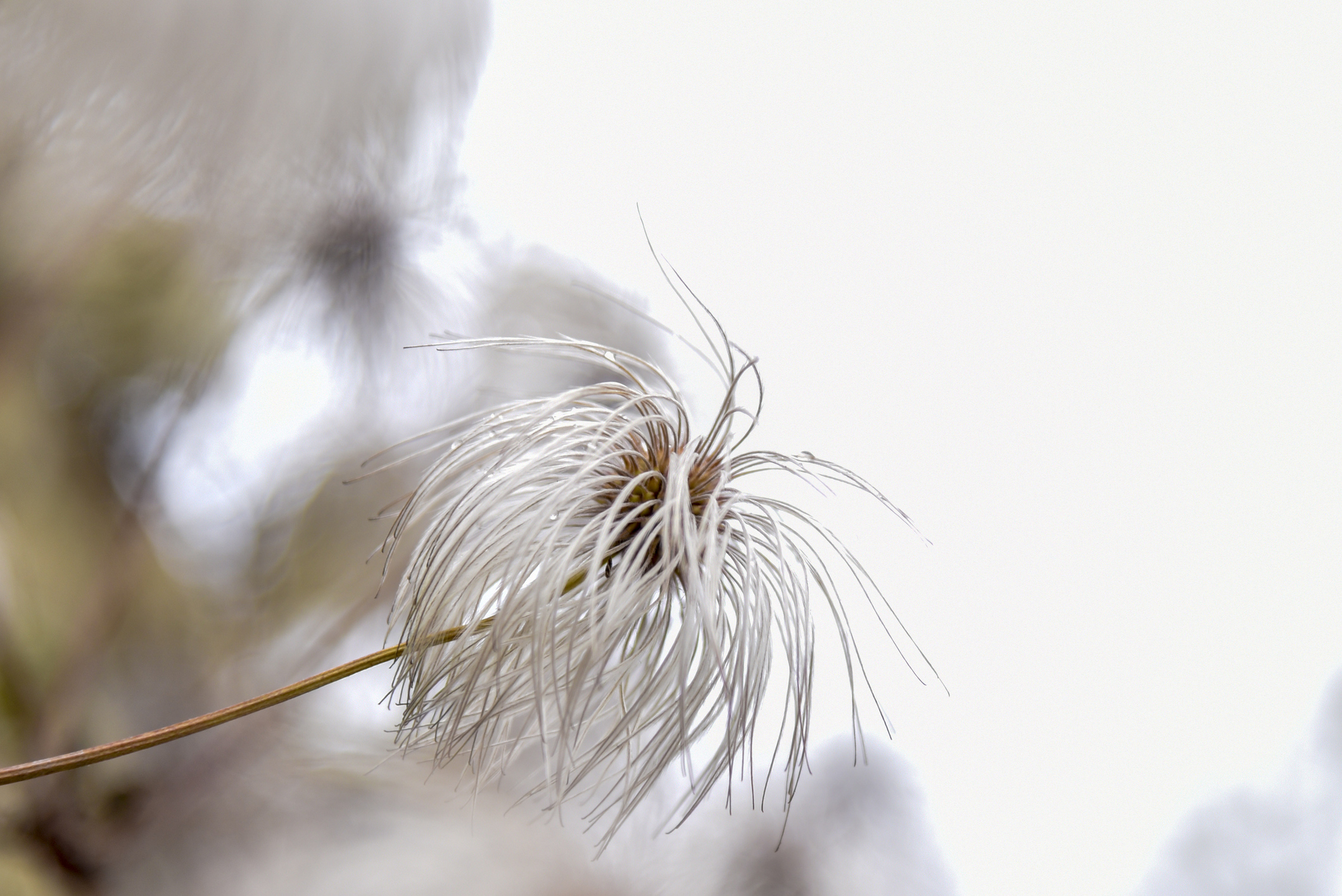 La traducción de poesía