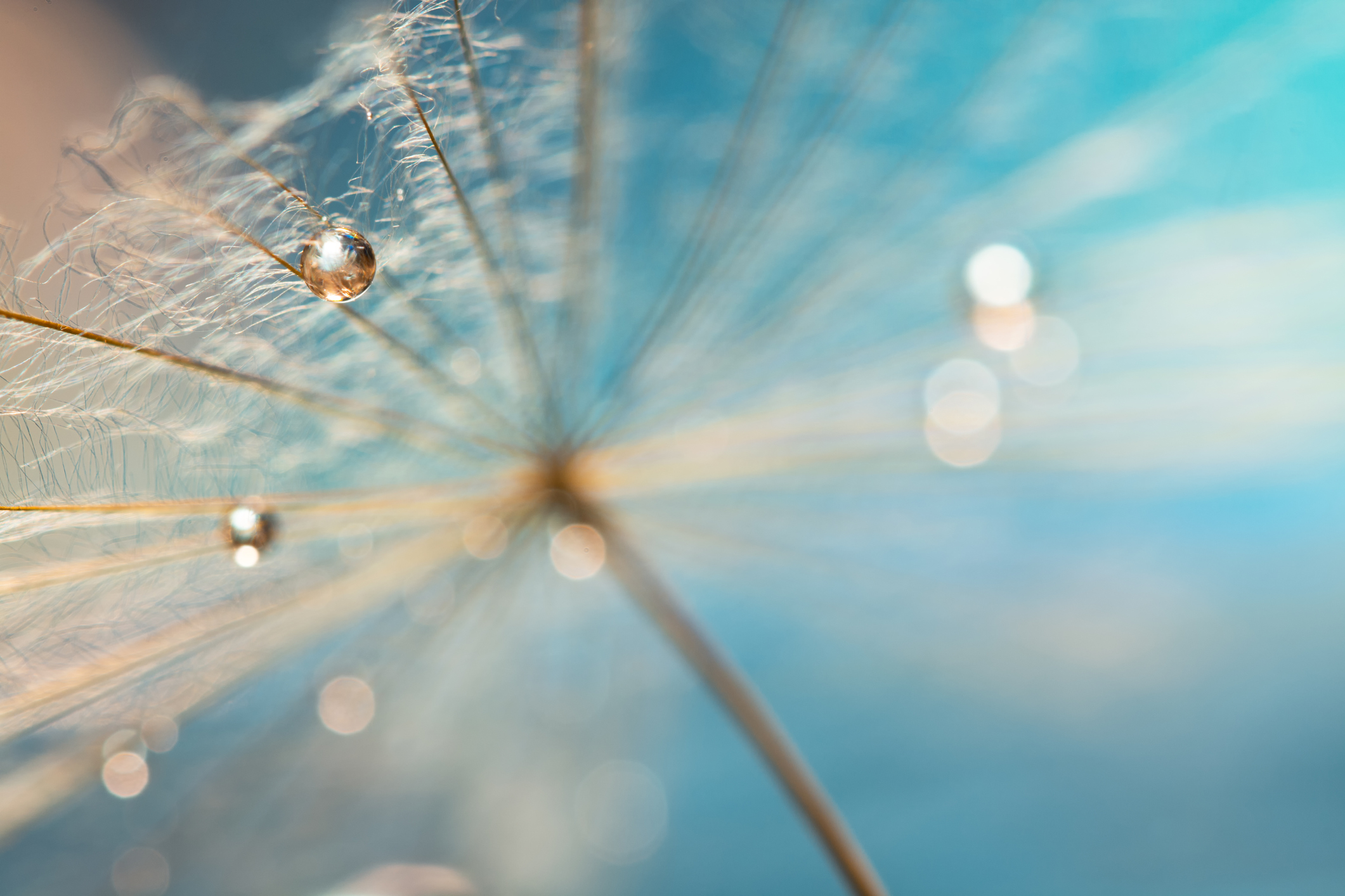 100 años de Álvaro Mutis