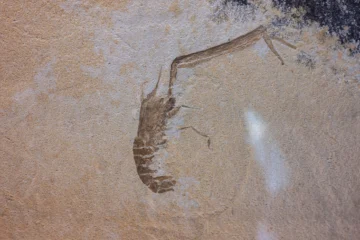 Reloj de arena: los tiempos del Caribe