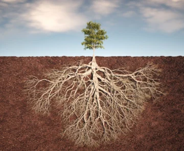 Mario Vargas Llosa en Chicago: cuando “las raíces siempre están en el Perú”