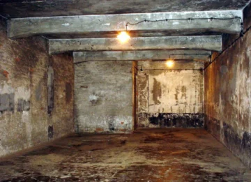 Dos poemas sobre Auschwitz