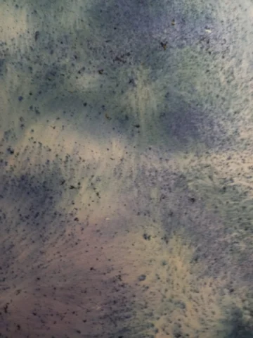 Habitando el arte y el mito desde la 36 Bienal de São Paulo