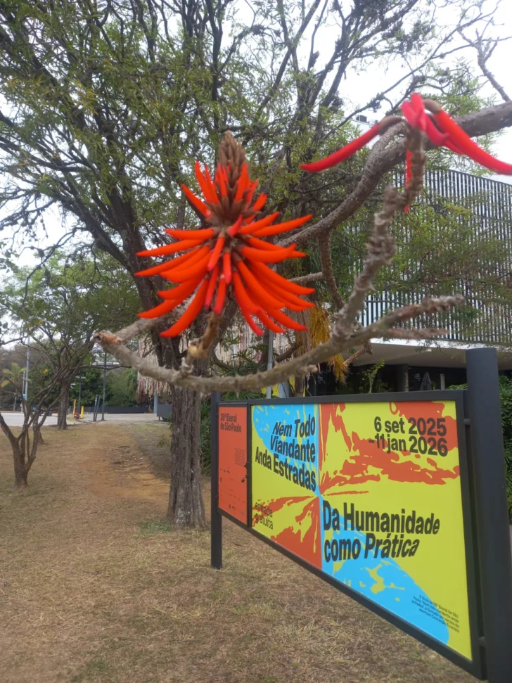 Imagen-entrada-bienal-de-Sao-Paulo.-2025.-Fotografia-de-la-autora-728x971 Imagen-entrada-bienal-de-Sao-Paulo.-2025.-Fotografia-de-la-autora-728x971