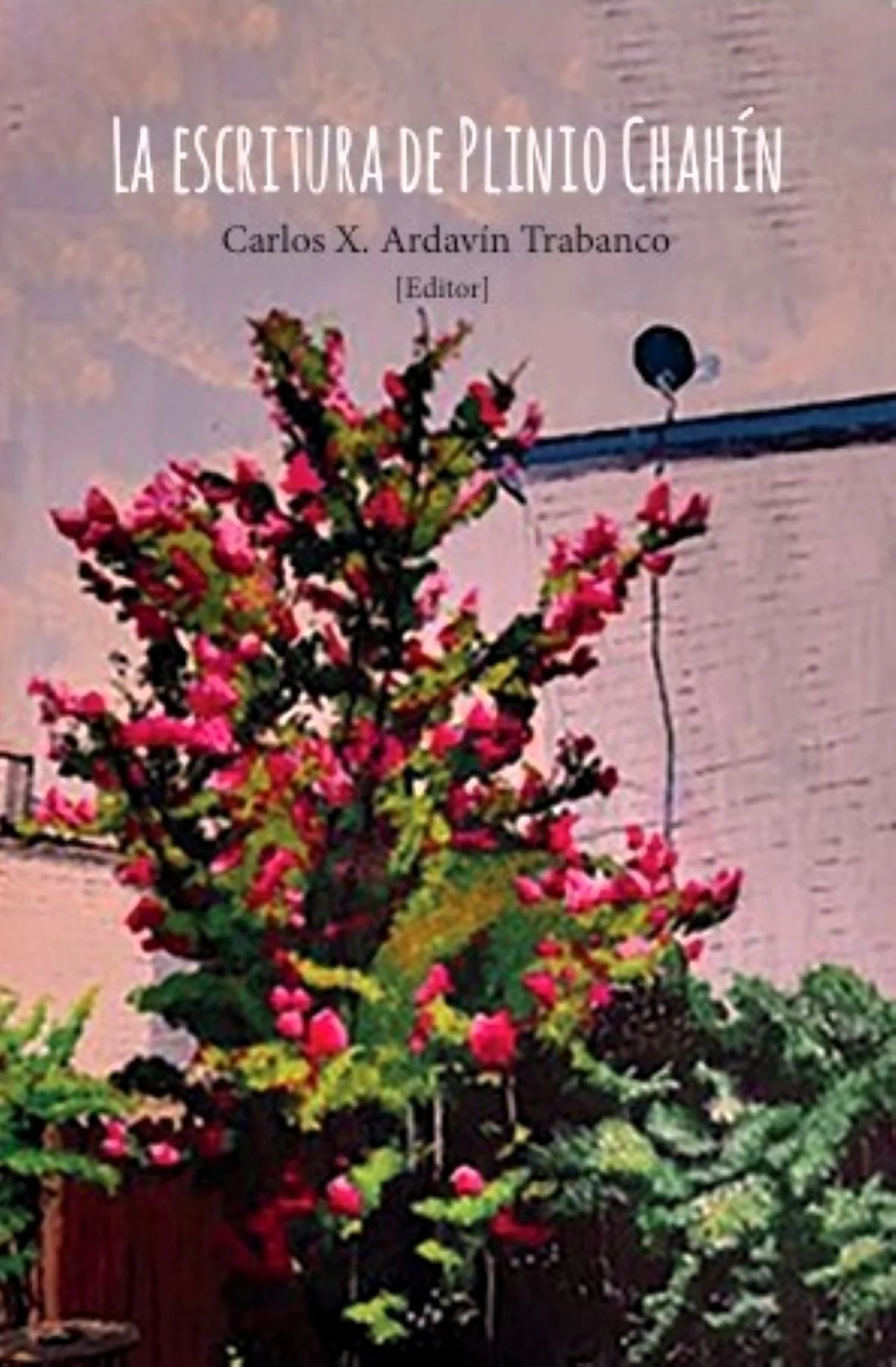 La escritura de Plinio Chahín